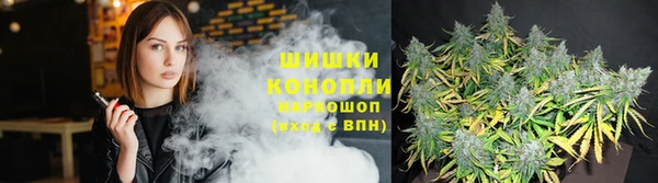 а пвп мука Белокуриха