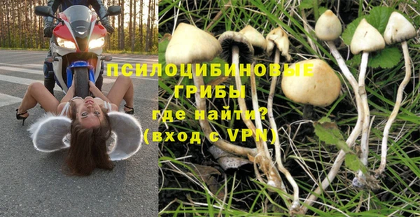 гидропоника Беломорск