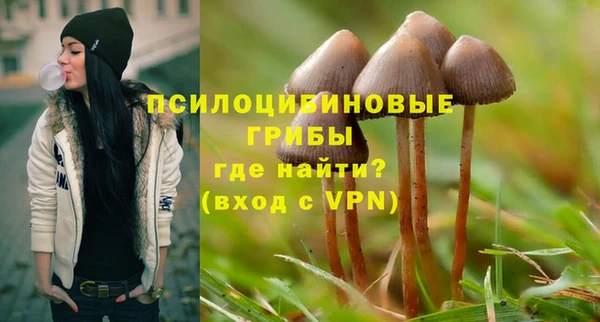 а пвп мука Белокуриха