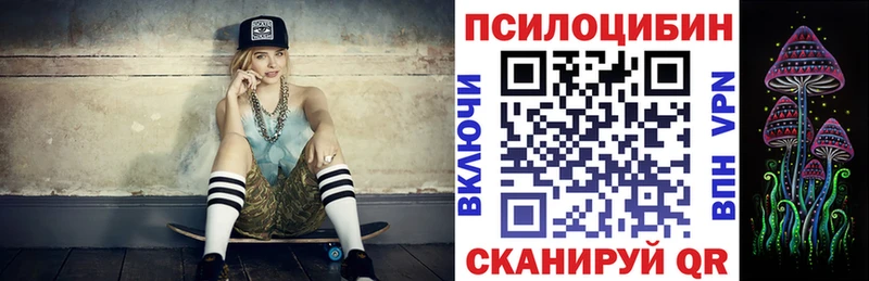 Купить  Котельники  Галлюциногенные грибы GOLDEN TEACHER 